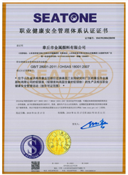 章丘金属颜料OHSAS18001职业健康安全管理体系认证证书